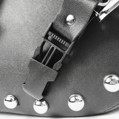 SaddleBags
